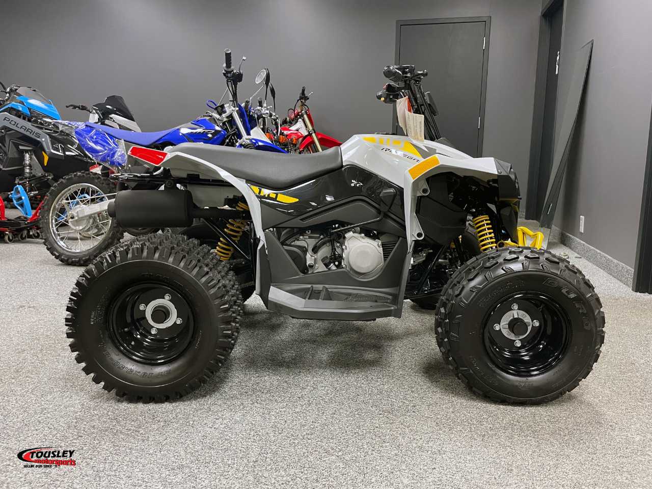 Can-Am Renegade 110 EFI Image