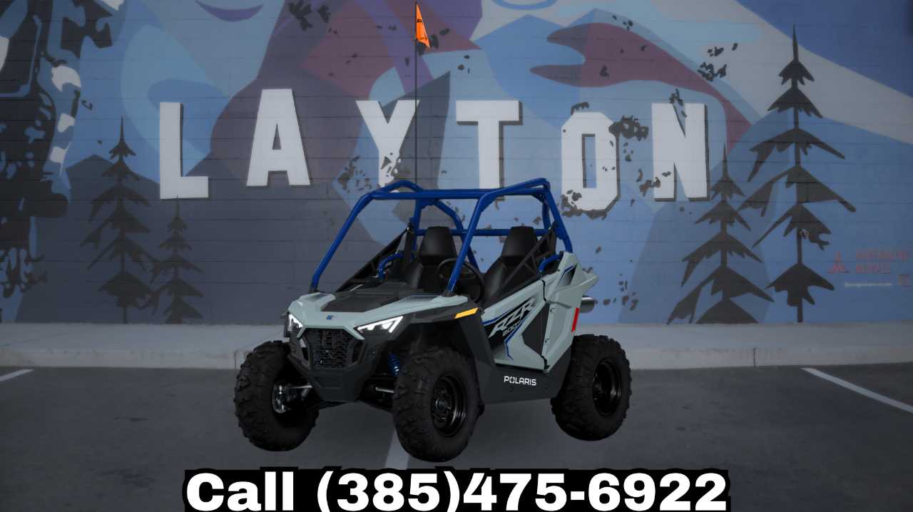 POLARIS RZR 200 EFI