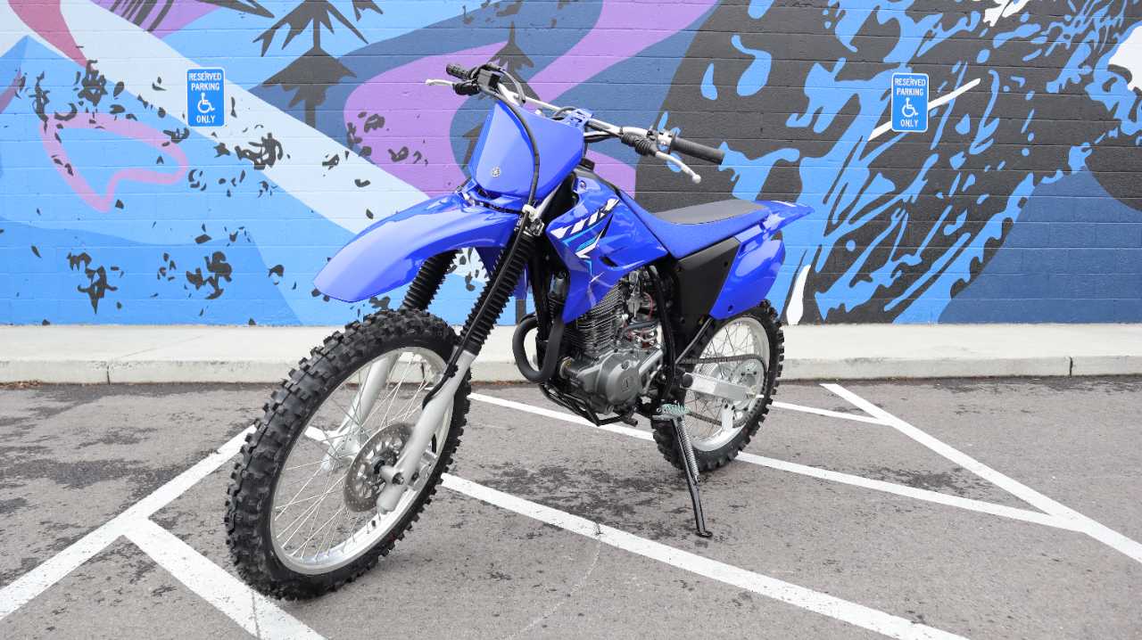 YAMAHA TT R230
