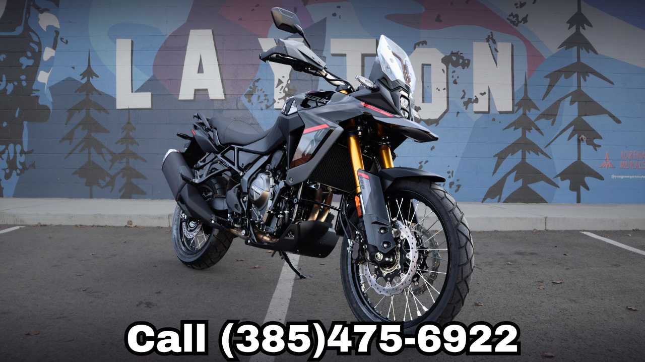 SUZUKI V-STROM 800DE