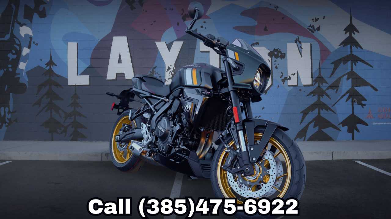 SUZUKI GSX 8TT