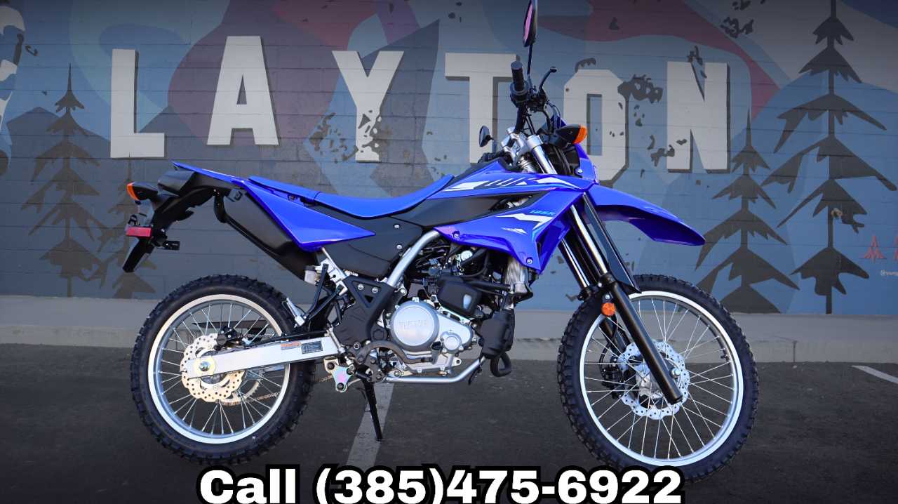 YAMAHA WR 125R