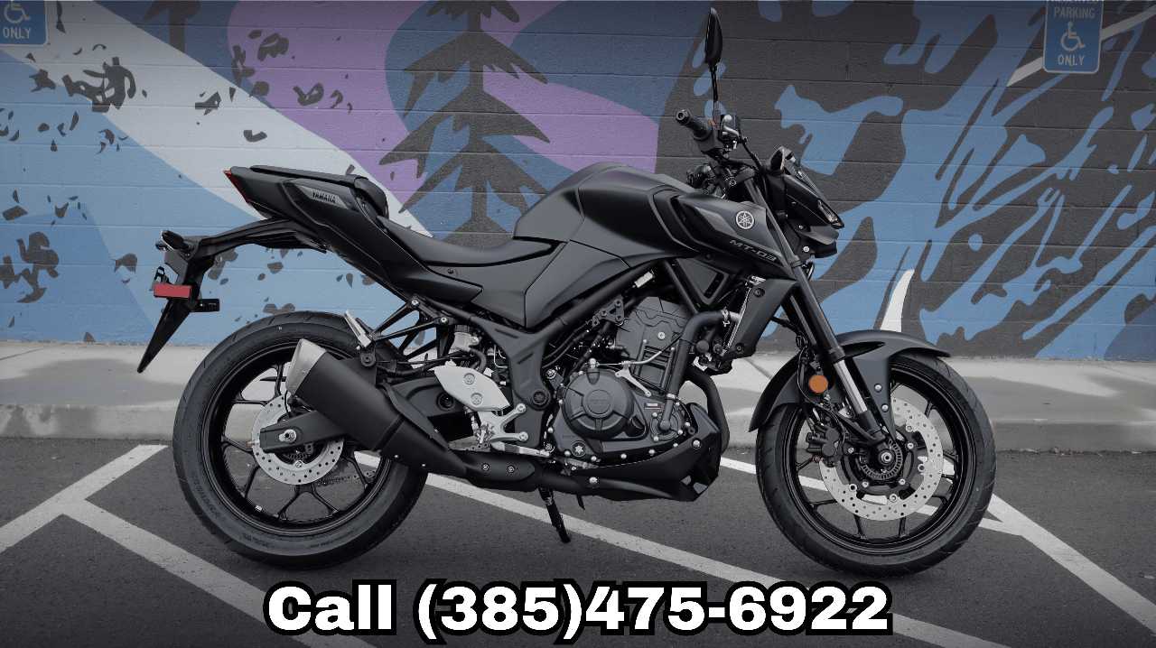 YAMAHA MT 03