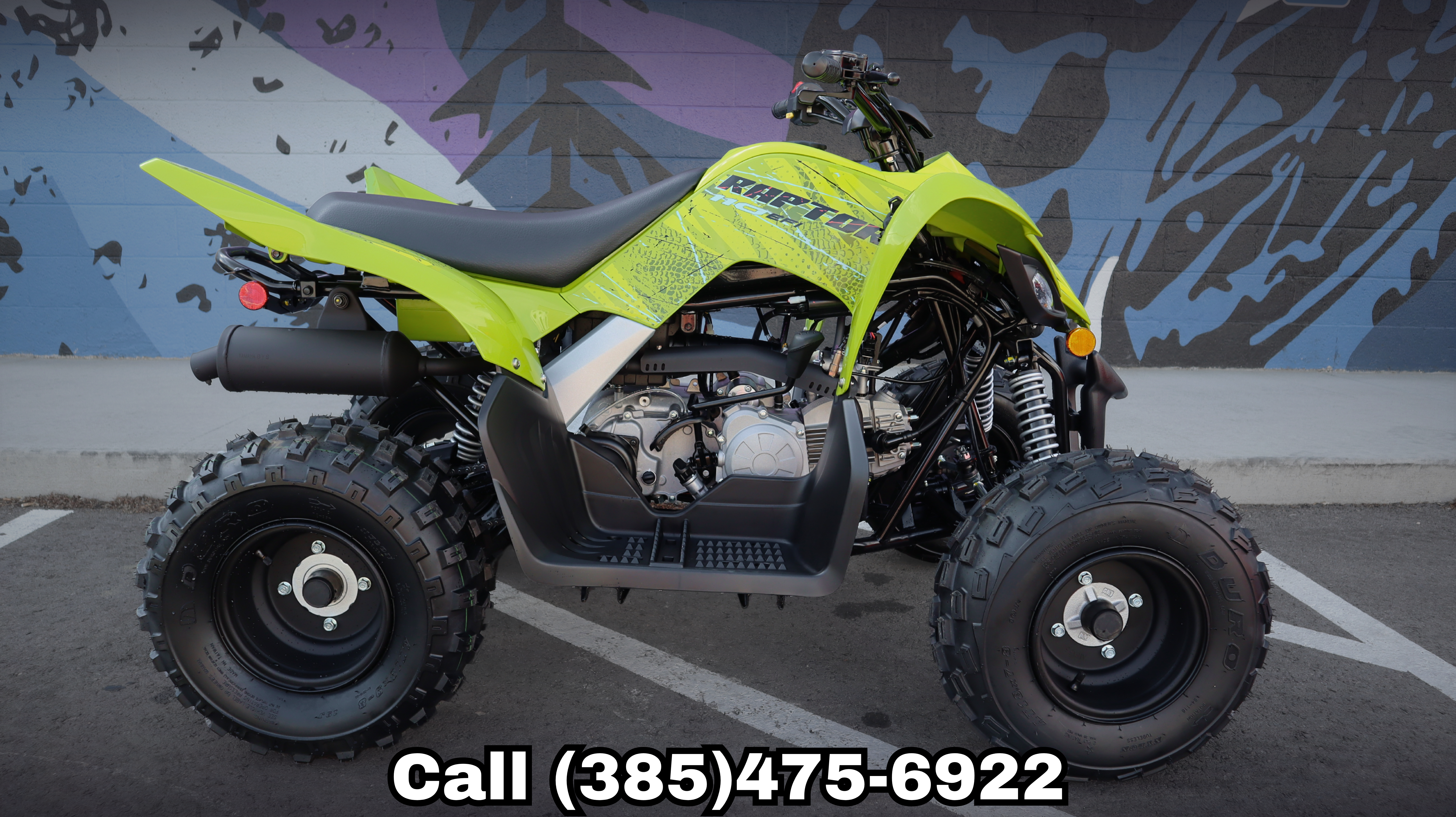 YAMAHA RAPTOR 110