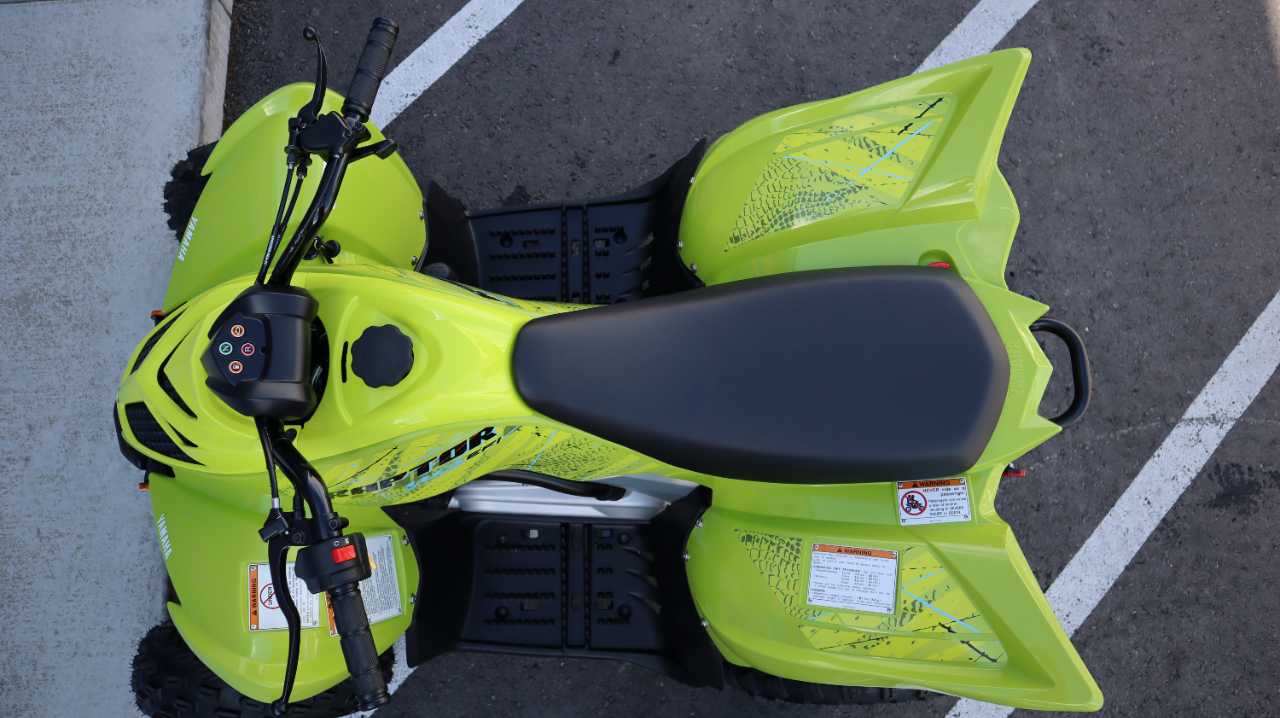 YAMAHA RAPTOR 110
