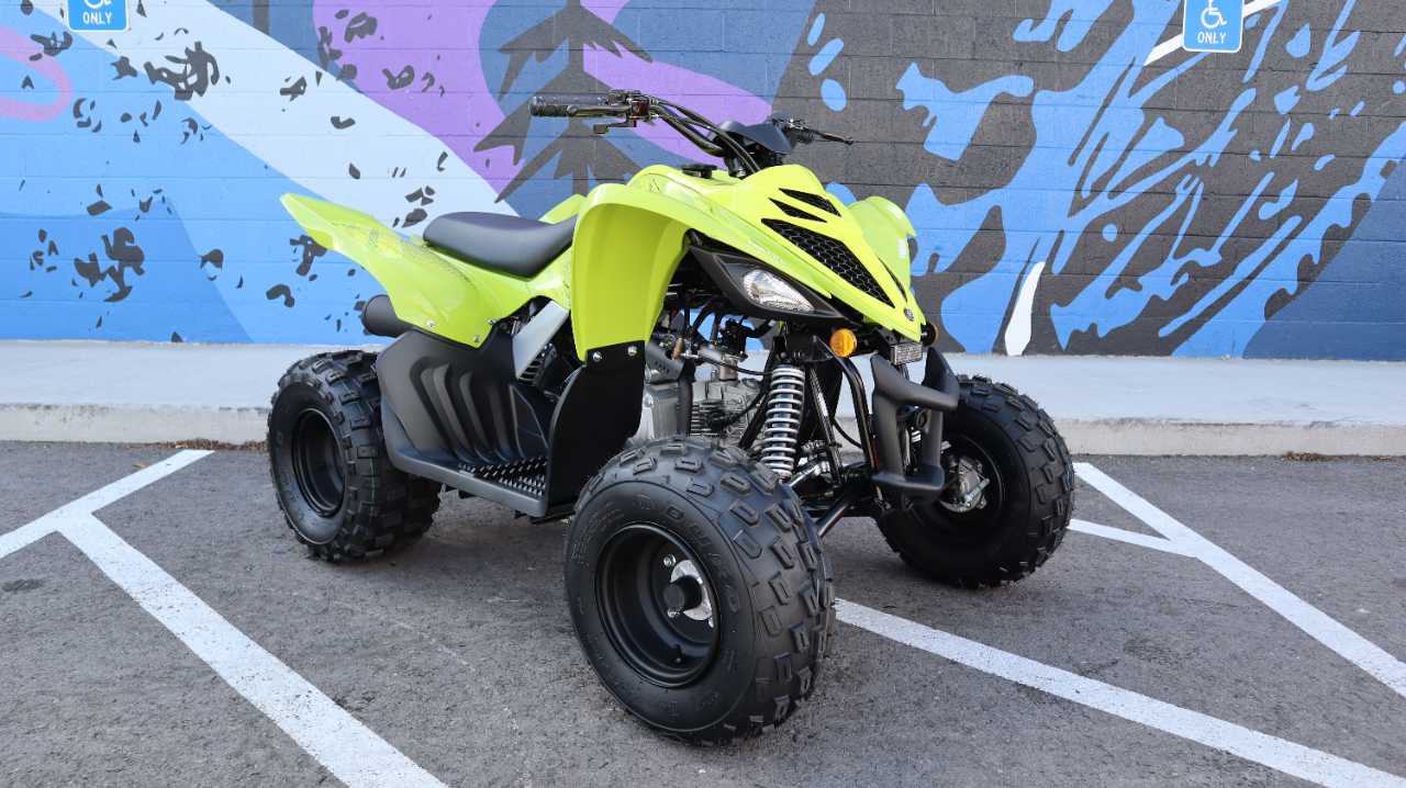 YAMAHA RAPTOR 110