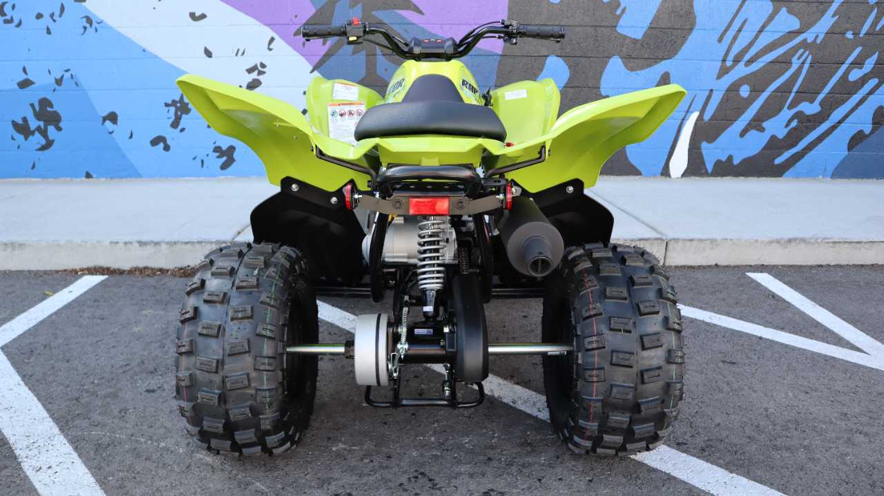 YAMAHA RAPTOR 110