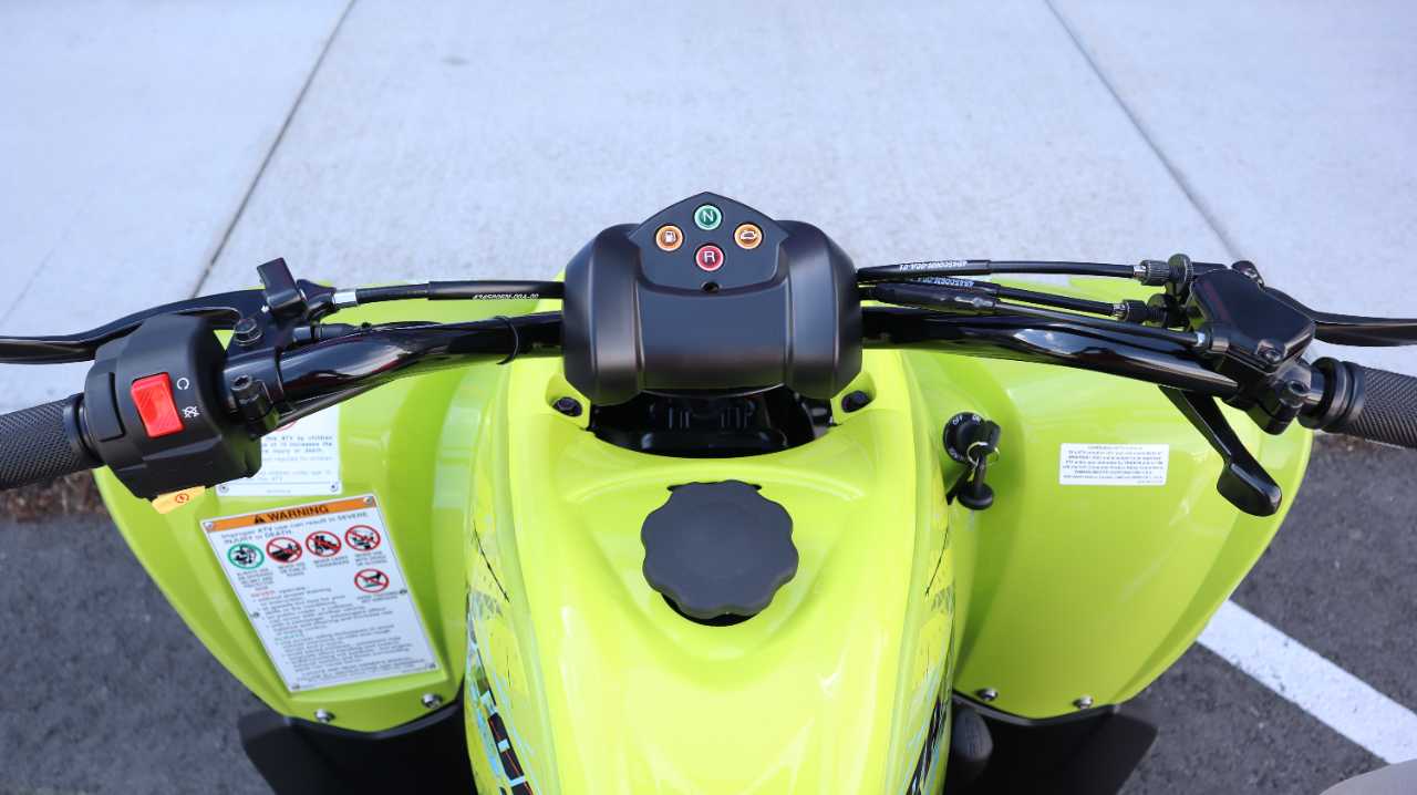 YAMAHA RAPTOR 110