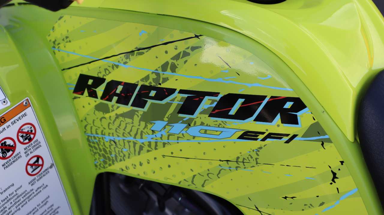 YAMAHA RAPTOR 110