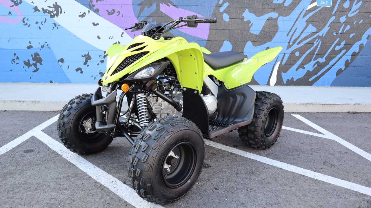 YAMAHA RAPTOR 110