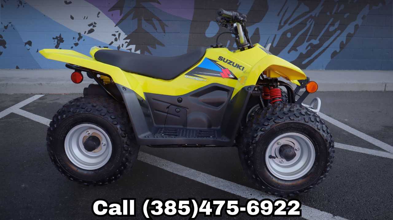 SUZUKI QUADSPORT Z50