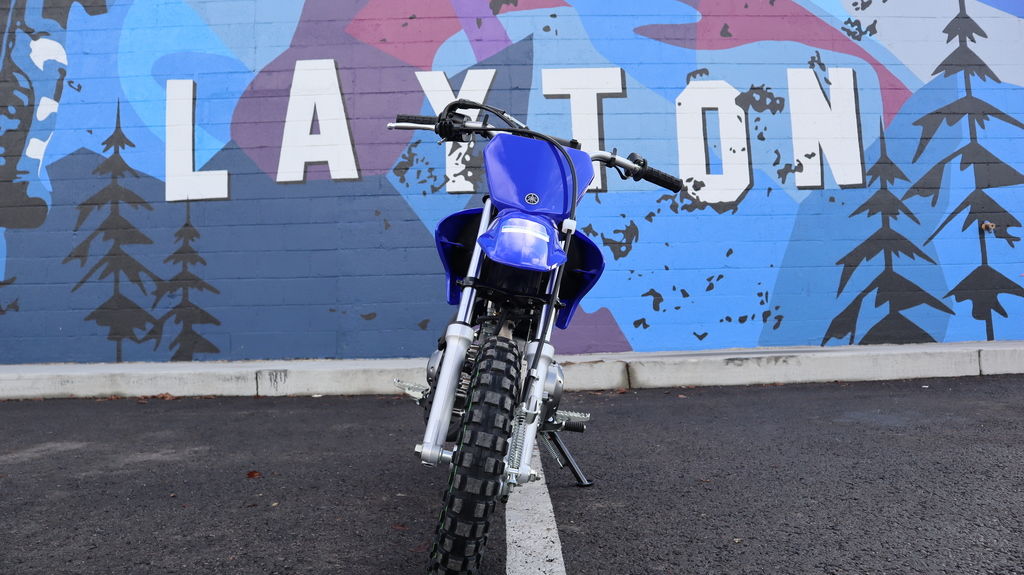 YAMAHA TT R50E