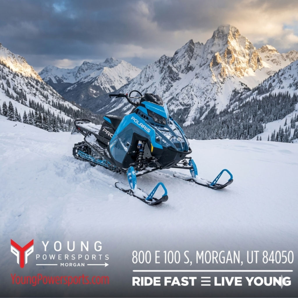 ACF Image